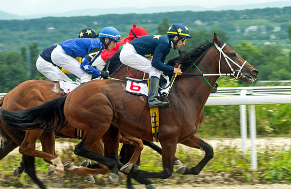 Horse Racing