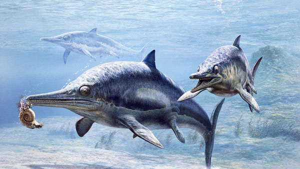 Ichthyosaur