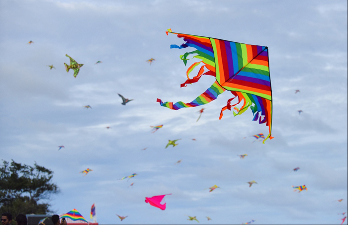 Kite Flying