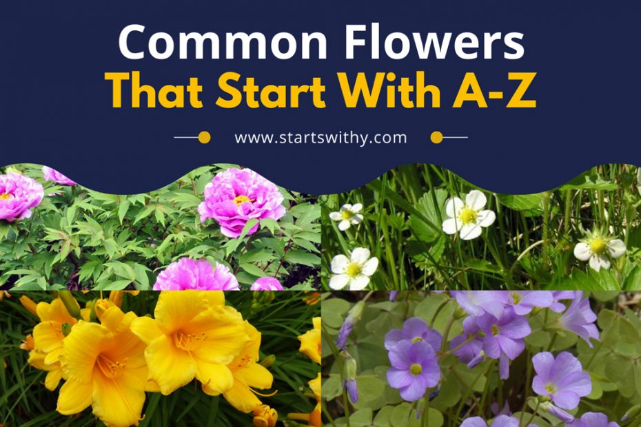 List Of Common Flowers With A-Z