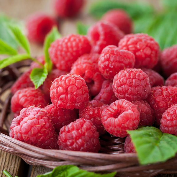 Raspberry