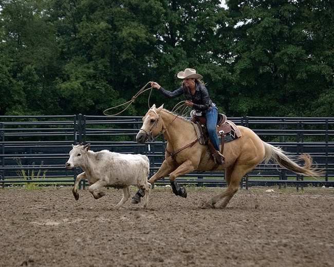 Roping