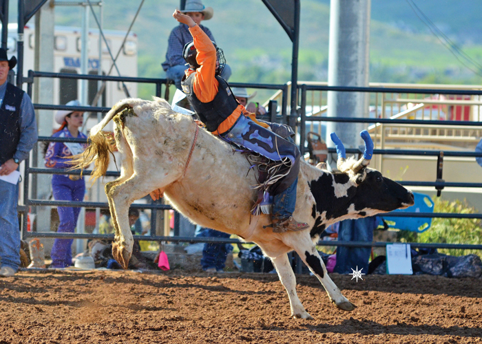 Steer Riding