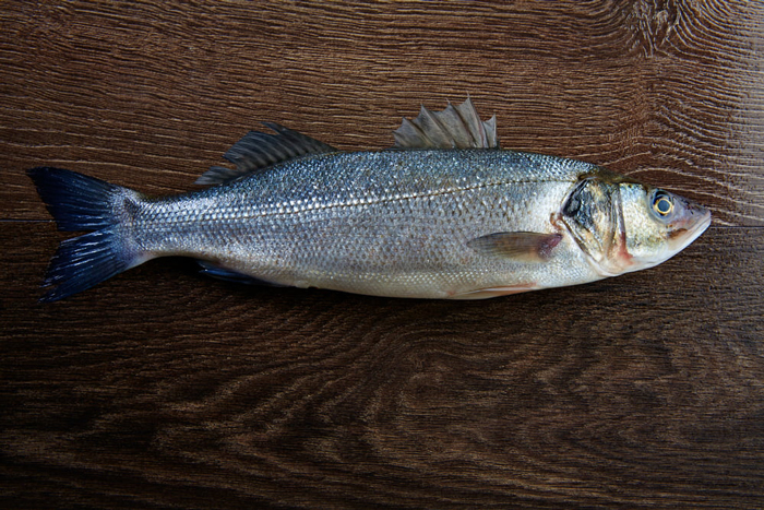 White Croaker