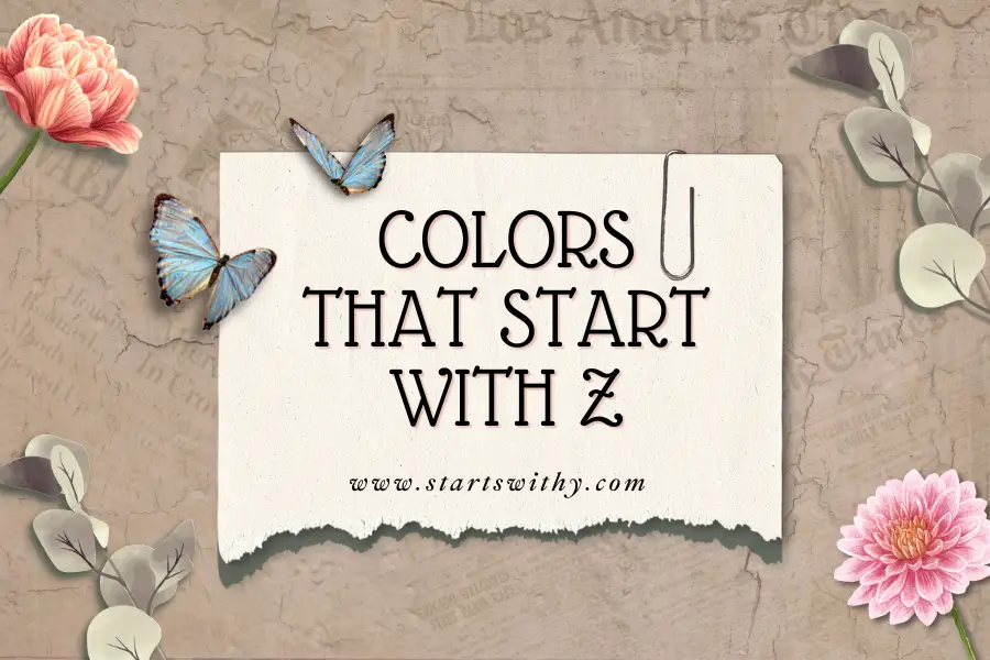 Colors That Start With Z