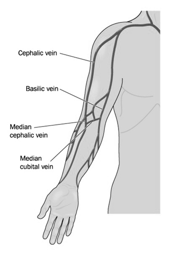 Cephalic Vein