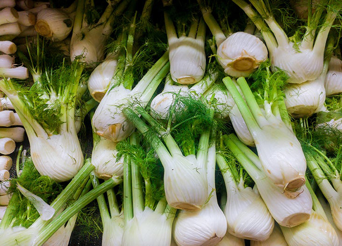 Fennel