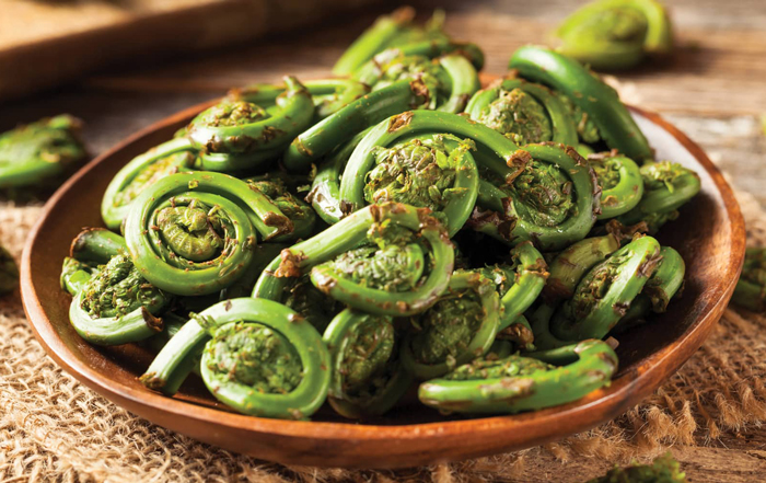 Fiddleheads