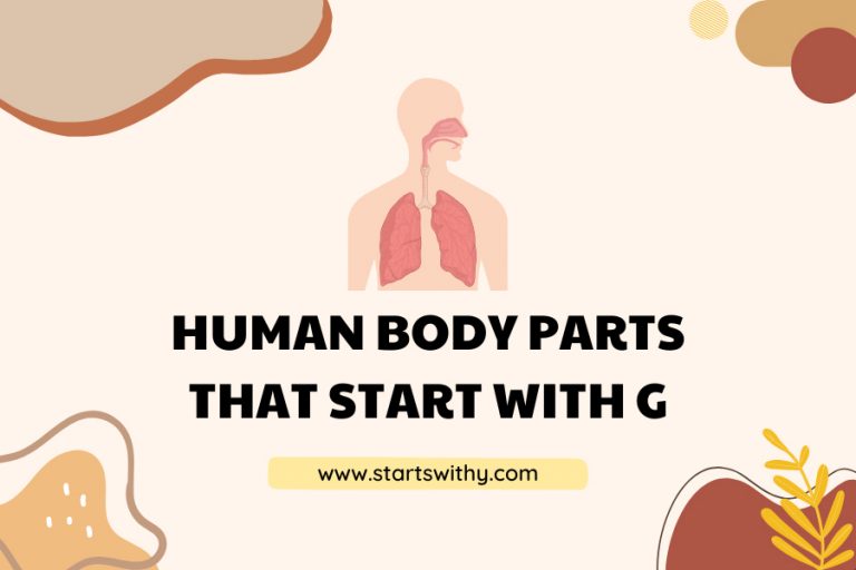 Human Body Parts That Start With G Aesthetic Wallpaper