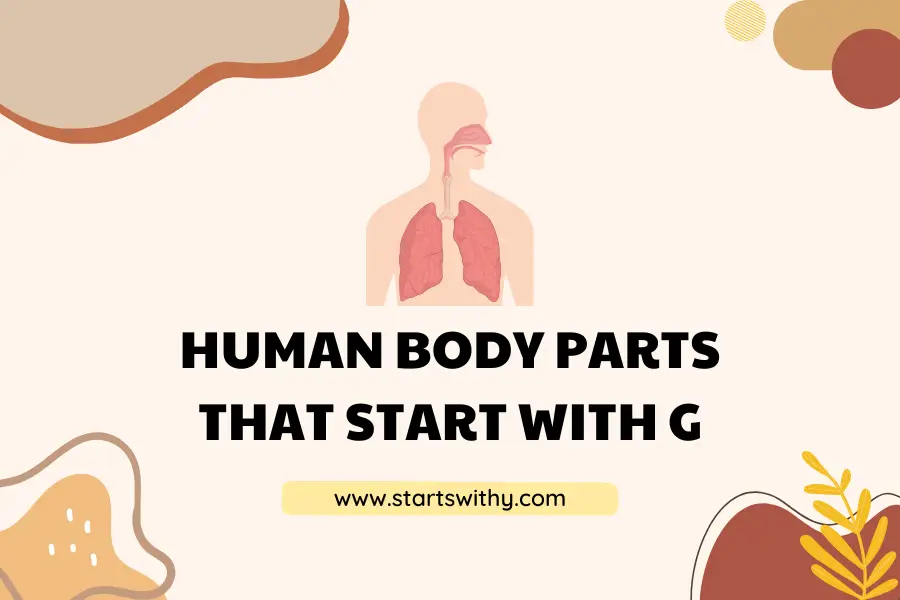 Human Body Parts That Start With G