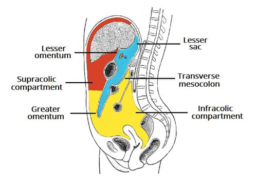 Lesser Sac