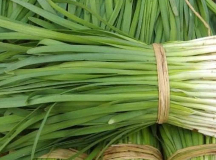 Nira (Garlic Chives)