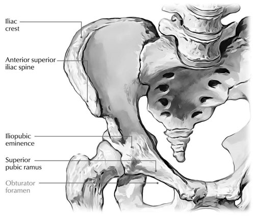 Obturator Foramen