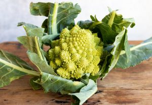 30+ Vegetables That Start With R