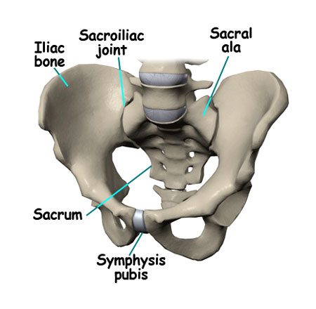 Sacral