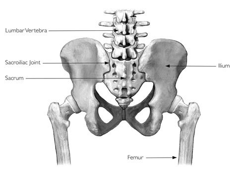 Sacroiliac Joint