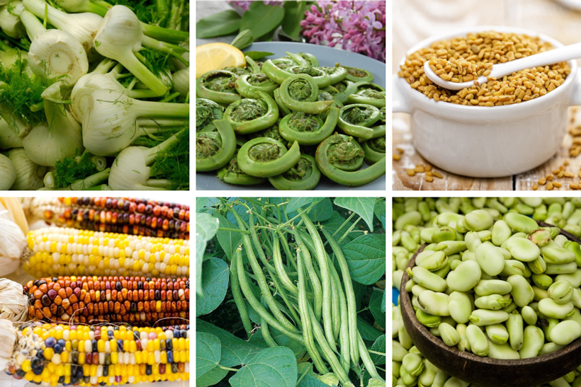 Vegetables Starting with F