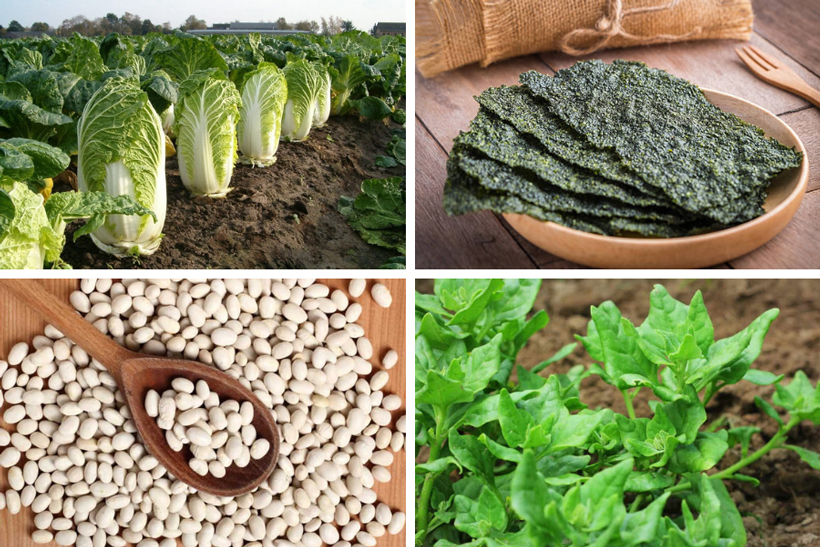 Vegetables Starting with N