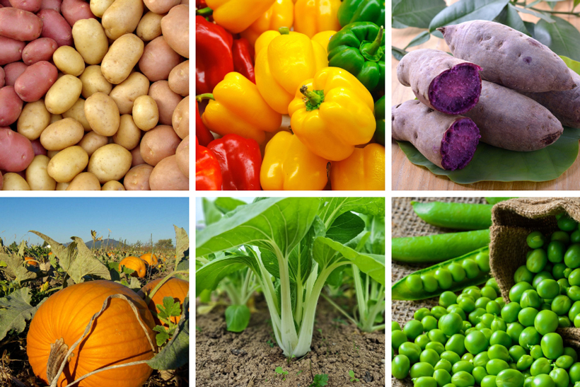Vegetables Starting with P