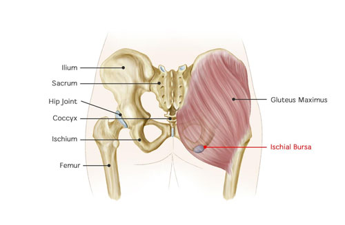 Weaver's Bottom