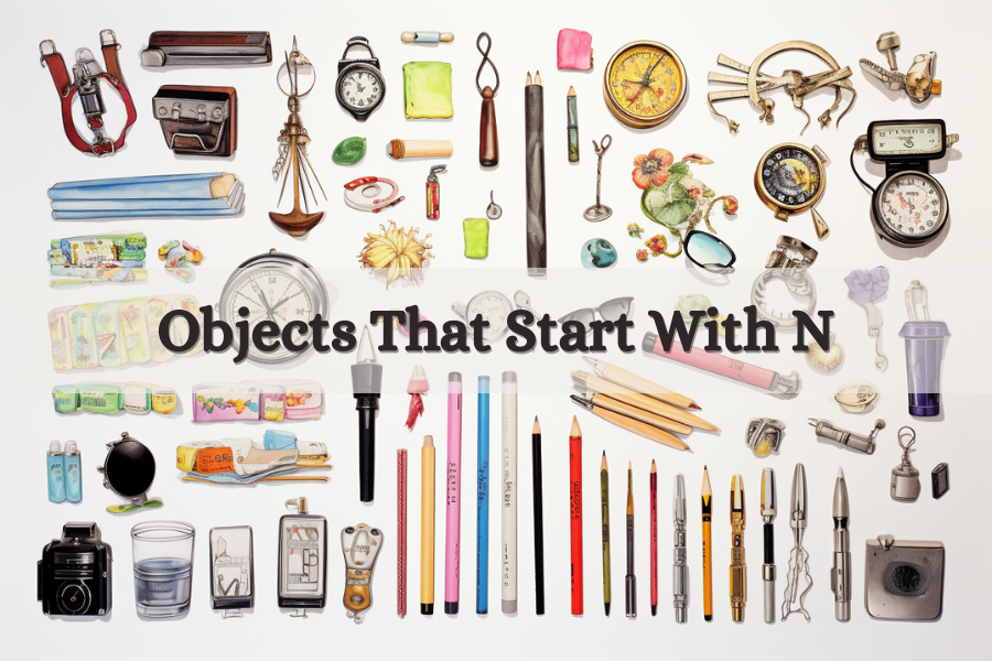 535+ Objects That Start With N