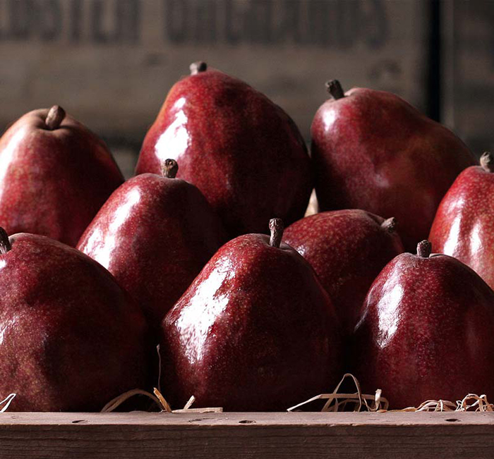 Red Anjou Pear