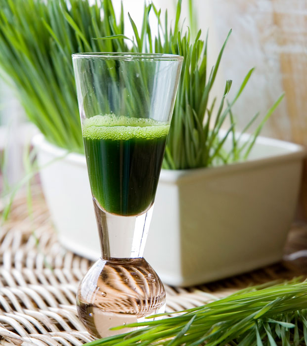 Wheatgrass Shot