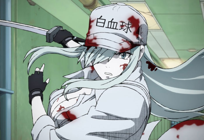 White Blood Cell