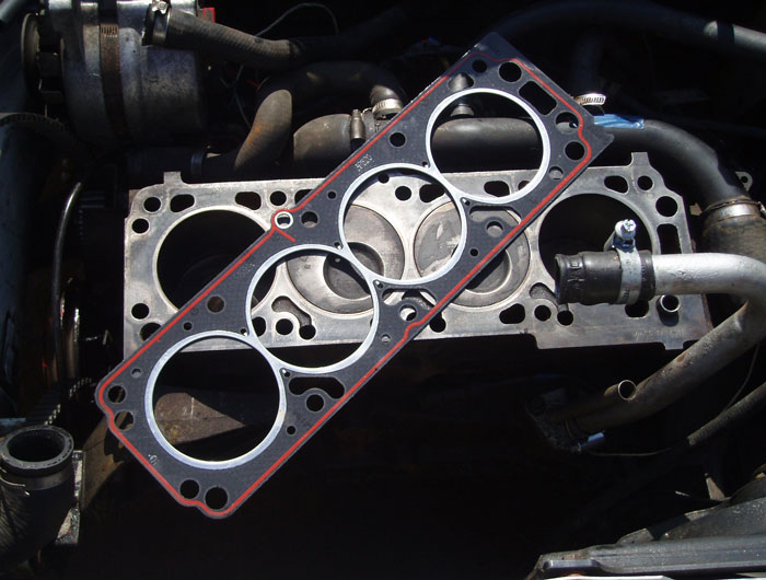 Gasket
