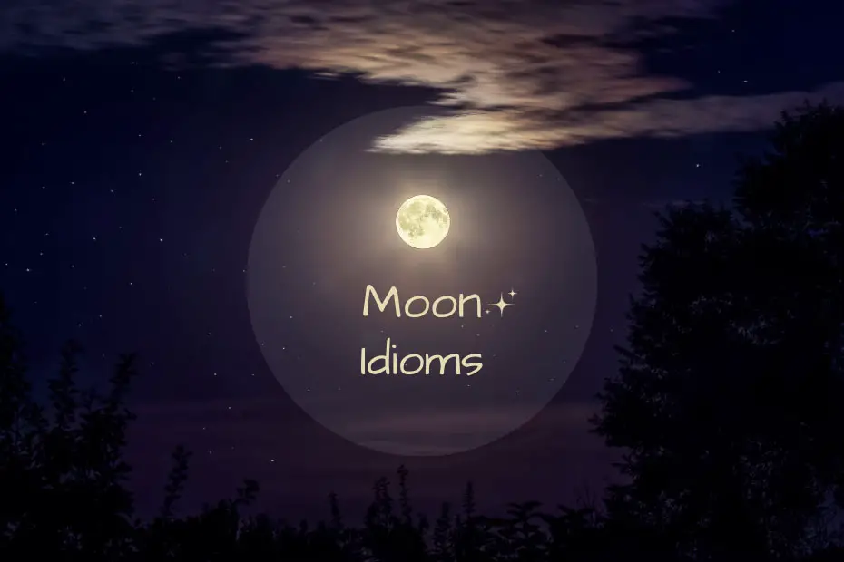 Moon Idioms