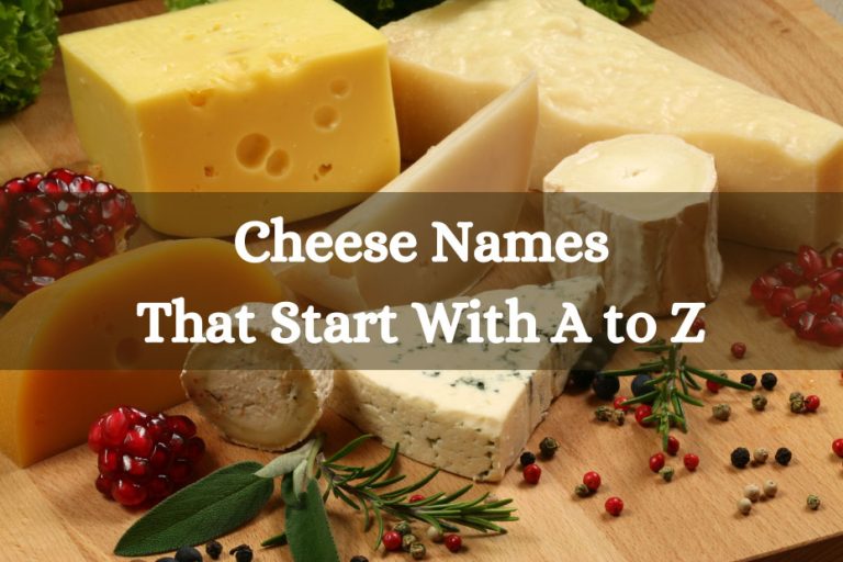 2570+ Cheese Names That Start With A to Z