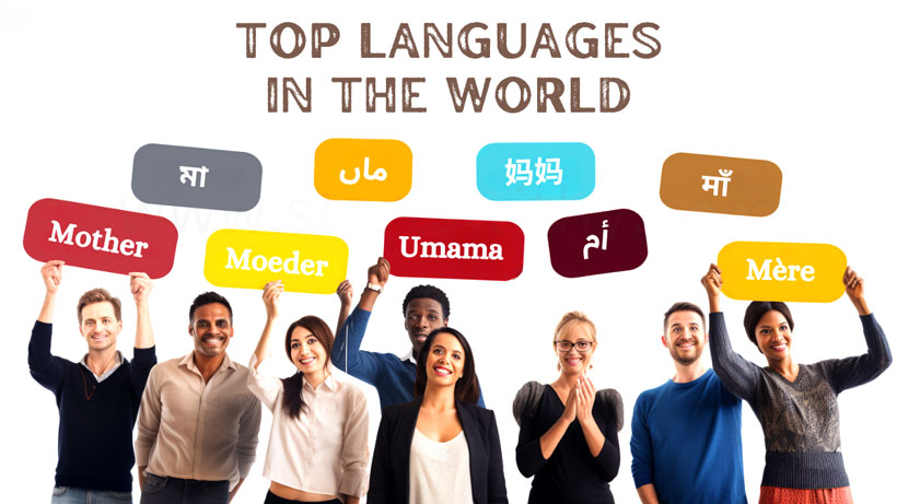 Top 50 Languages in the World