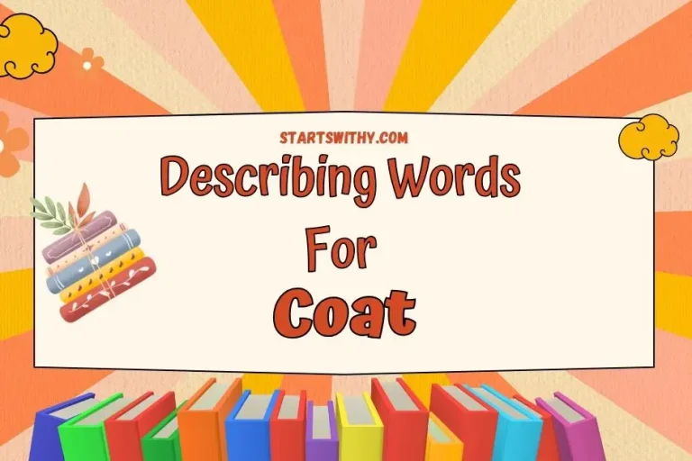 Coat Adjectives: Examples for Describing - Blog Post