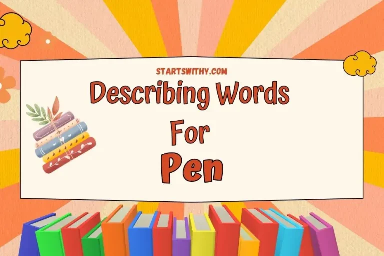 Describing Words for Pen Examples & Adjectives