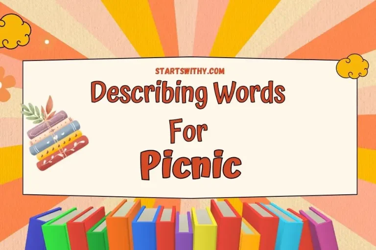 Picnic Adjectives Describing Words & Examples