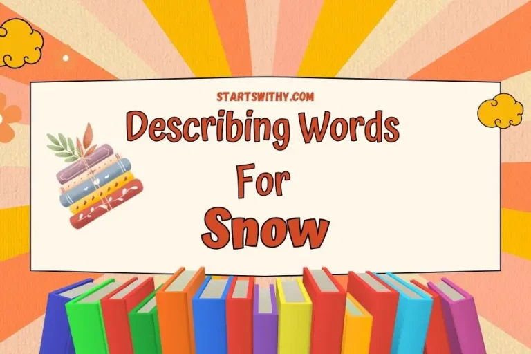 Snow Adjectives Describing Words & Examples