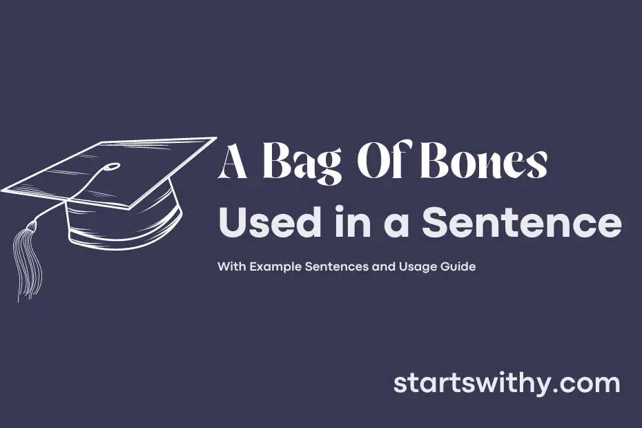 sentence with A Bag Of Bones
