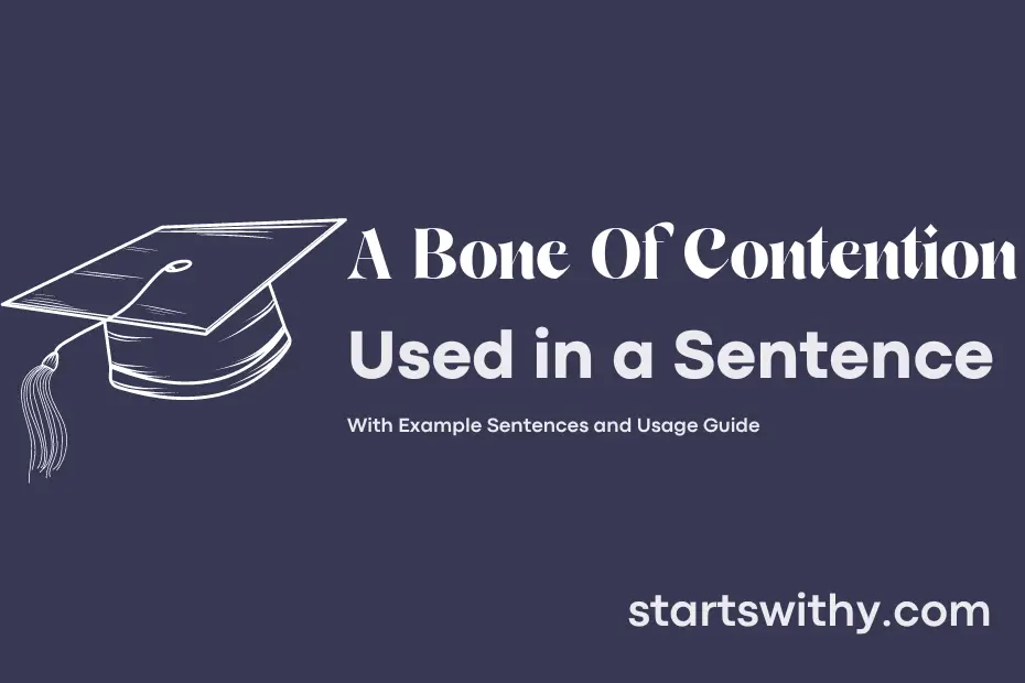 sentence with A Bone Of Contention