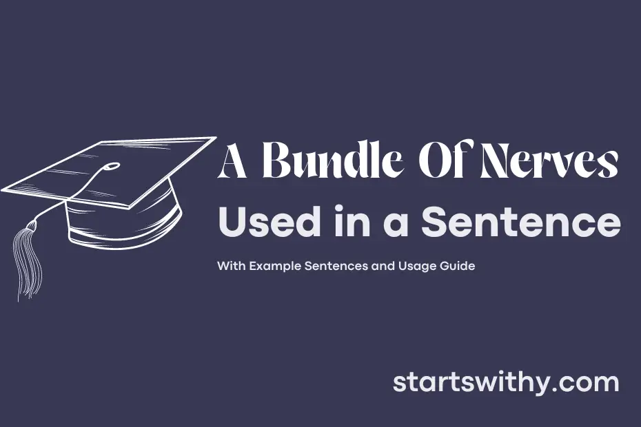 sentence with A Bundle Of Nerves