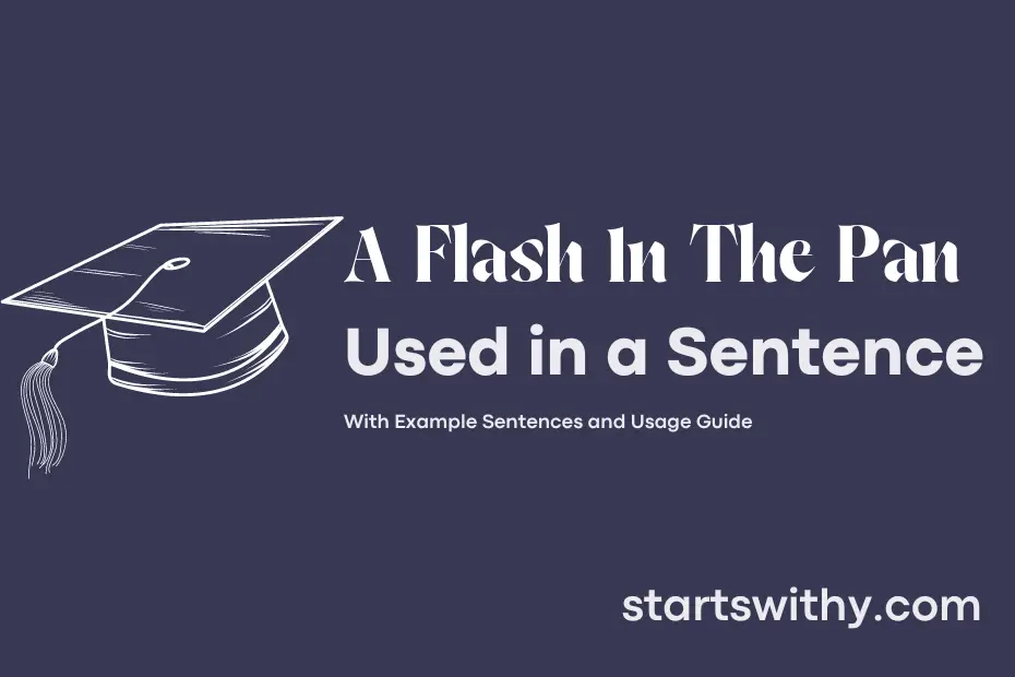 sentence with A Flash In The Pan