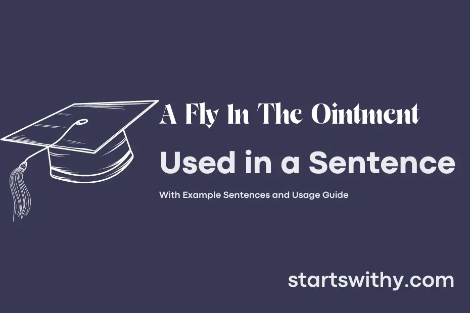 sentence with A Fly In The Ointment