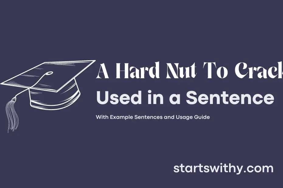 sentence with A Hard Nut To Crack