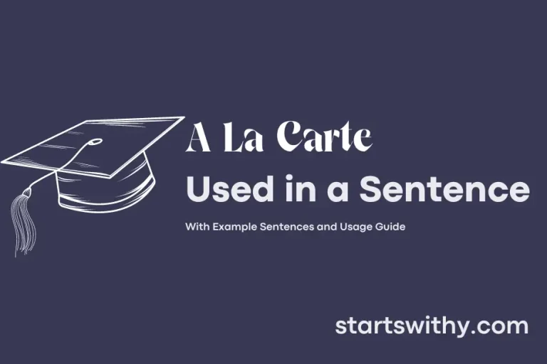 A LA CARTE in a Sentence Examples 21 Ways to Use A La Carte