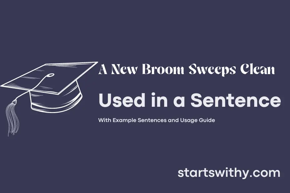 sentence with A New Broom Sweeps Clean