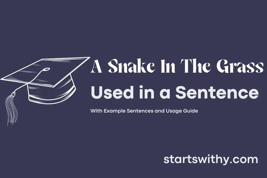 sentence with A Snake In The Grass