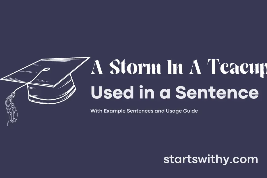 sentence with A Storm In A Teacup