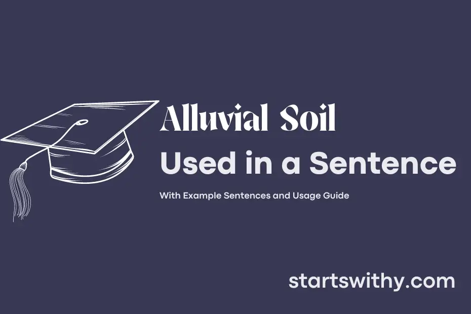sentence with Alluvial Soil