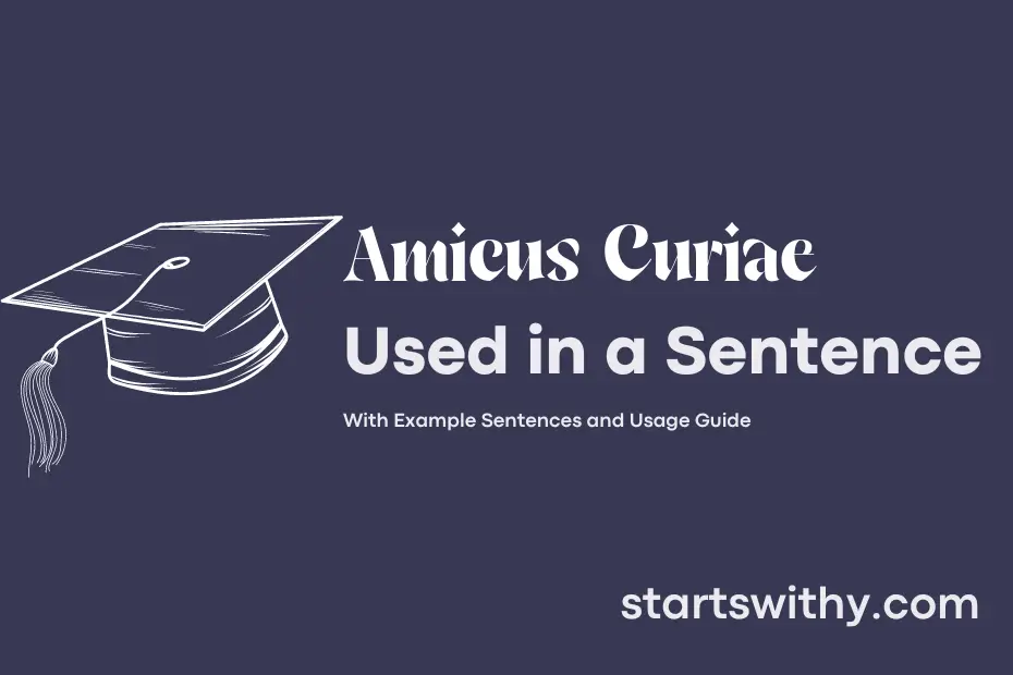 sentence with Amicus Curiae