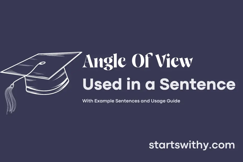 sentence with Angle Of View