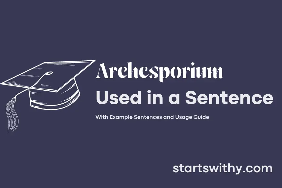 sentence with Archesporium